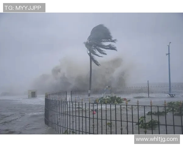 全球气候变化加剧 联合国警告各国需紧急行动应对极端天气挑战 全球气候变化加剧 联合国警告各国需紧急行动应对极端天气挑战
