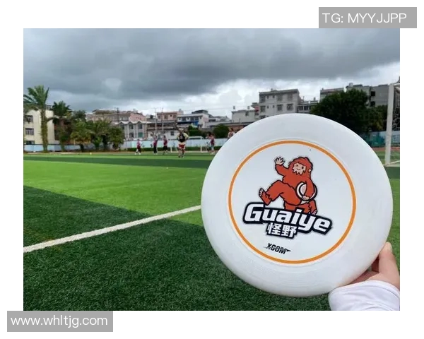 武汉飞盘队与重庆飞盘队赛后复盘分析个人能力的对比与启示 武汉飞盘队与重庆飞盘队赛后复盘分析个人能力的对比与启示