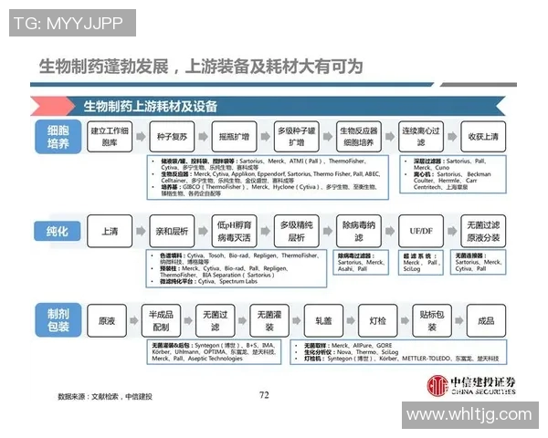 北京篮球队灵活性变革引发热议新战术与球员适应能力的深度探讨 北京篮球队灵活性变革引发热议新战术与球员适应能力的深度探讨