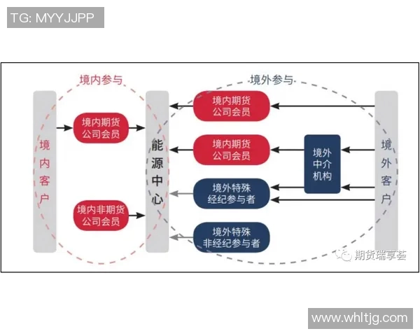 独家解析:WE力量对比及其在市场中的影响力分析 独家解析:WE力量对比及其在市场中的影响力分析