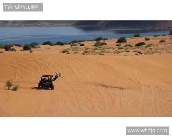 杭州飞盘队在极限运动联赛中的战术分析与表现评估