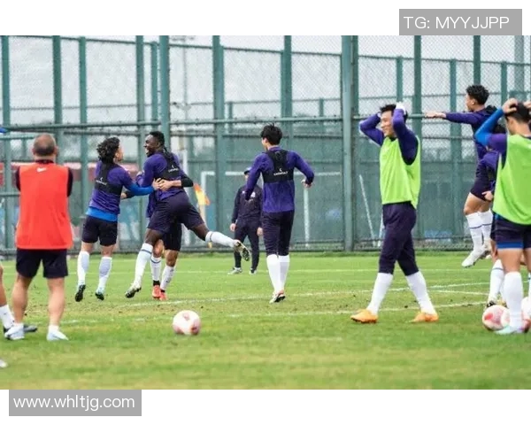 深圳排球队战术引发热议球迷与专家各执己见的背后故事