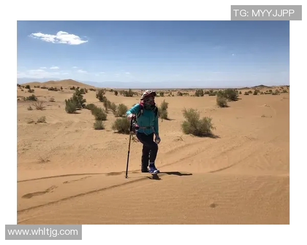 深度探讨吴秀英在DOTA2世界中的成长与挑战之旅