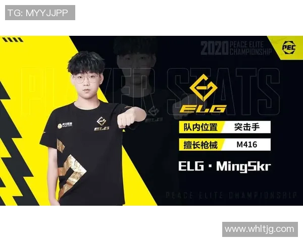 和平精英战术解析：WE战队区域防守体系的深度剖析与应用技巧