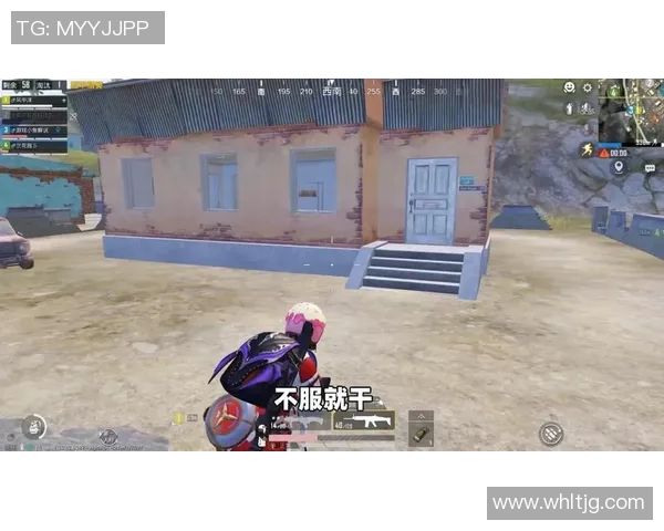 探索和平精英成功背后的秘密与刘芳的深度对话