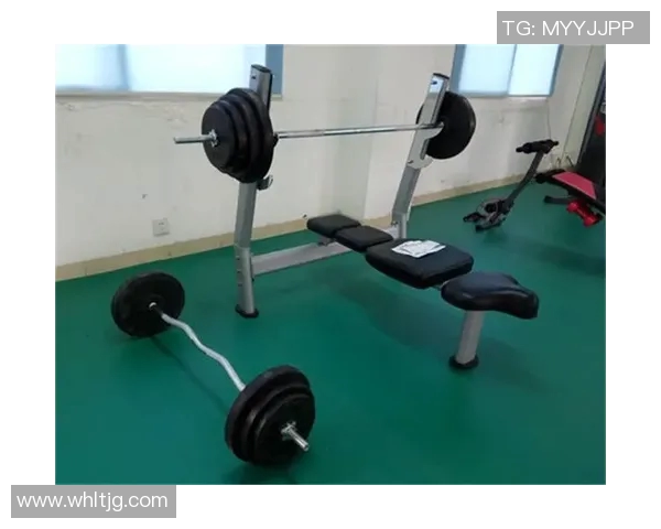 酒店健身器材举重设备及高效训练方案