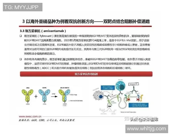 重磅专题:探索LNG在边路渗透中的创新与未来发展趋势 重磅专题:探索LNG在边路渗透中的创新与未来发展趋势
